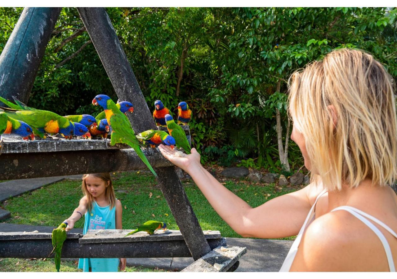 Discovery Parks - Airlie Beach Exterior foto